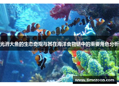光滑大鱼的生态奇观与其在海洋食物链中的重要角色分析 光滑大鱼的生态奇观与其在海洋食物链中的重要角色分析
