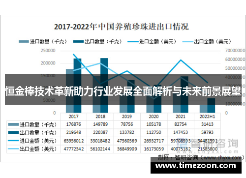 恒金棒技术革新助力行业发展全面解析与未来前景展望 恒金棒技术革新助力行业发展全面解析与未来前景展望